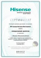 Hisense AS-13HW4SVDTG5