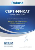 Roland RDI-WZ12HSS/N2